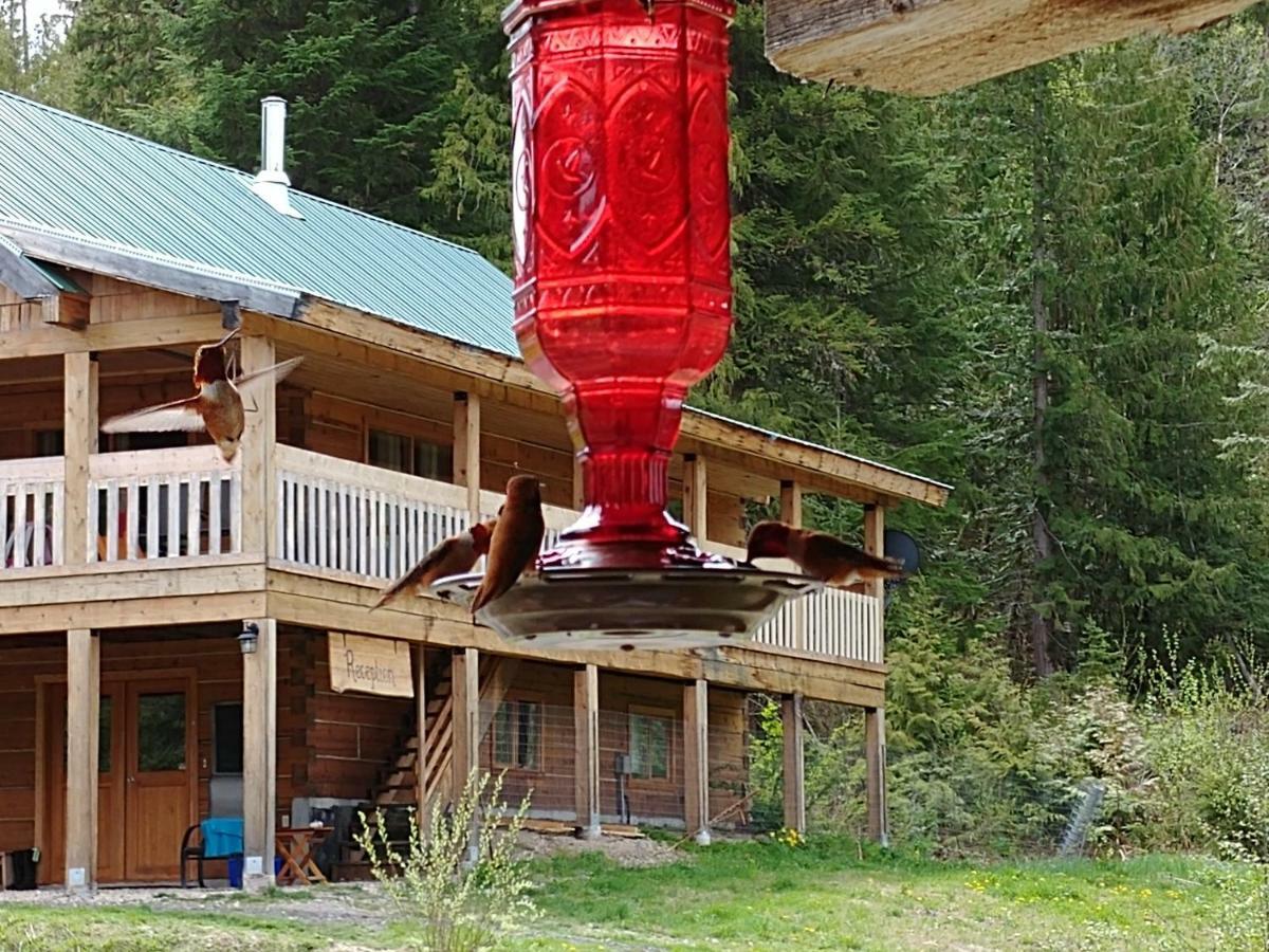 Wolfwood Guest Ranch Villa Clearwater Exteriör bild